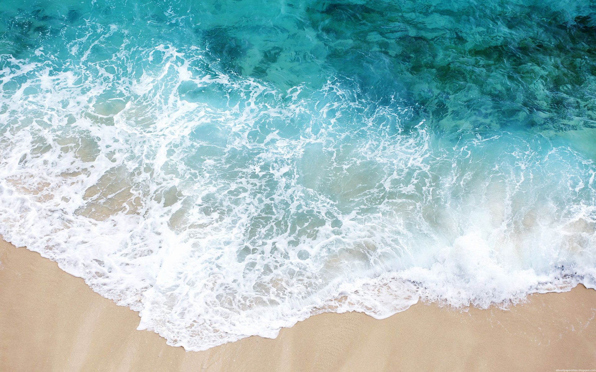 世界举重公开赛赛后康复与营养白皮书对外发行,2021世界举重冠军